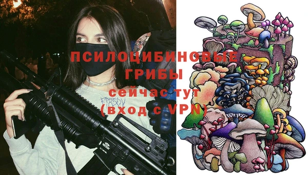 прущий лед Абаза