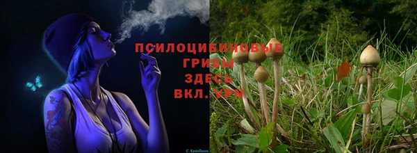 бутират Абинск
