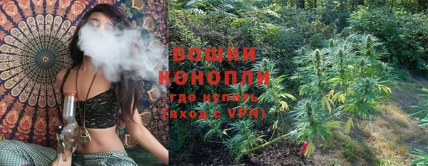 прущий лед Абаза